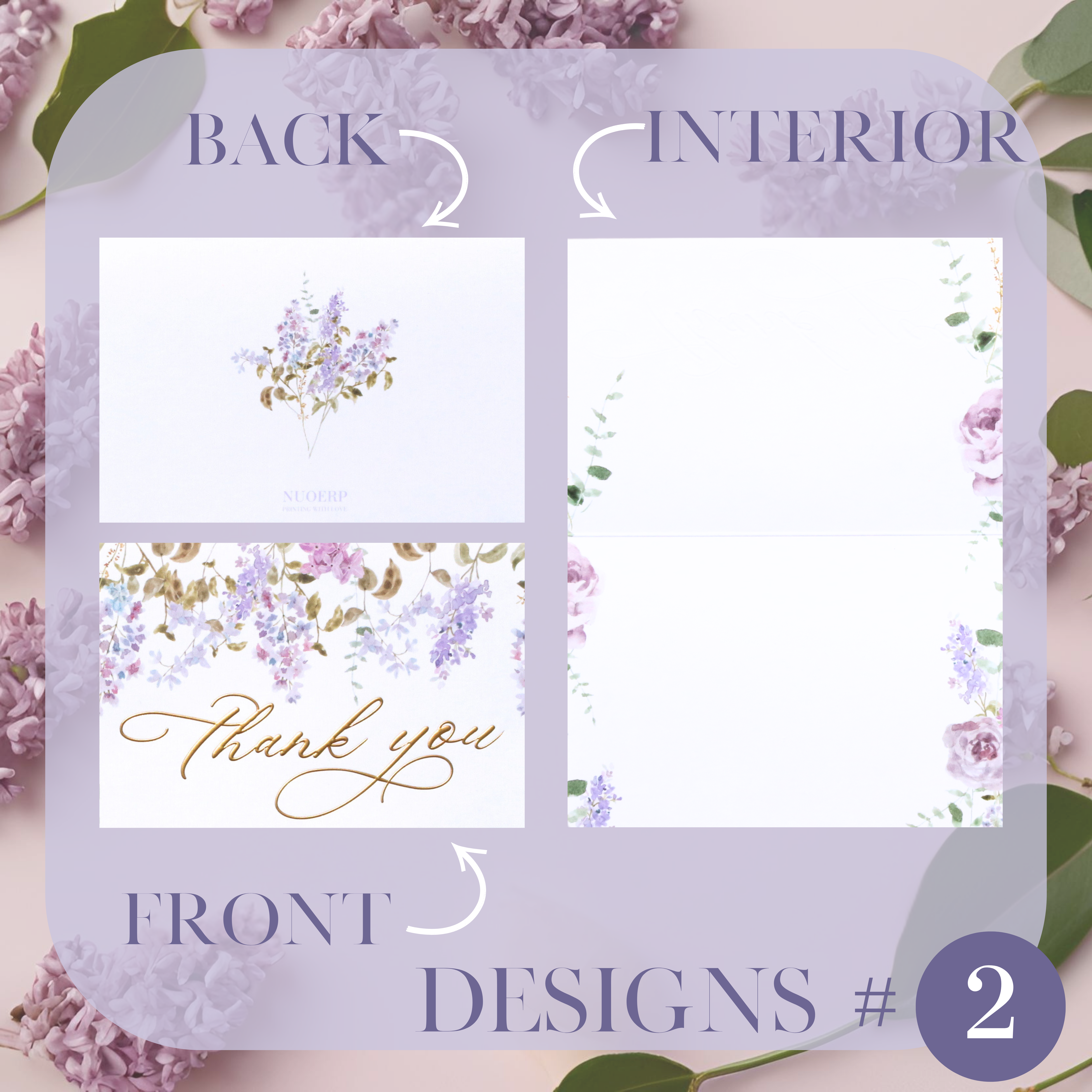 Liliac Collection Nuoerp