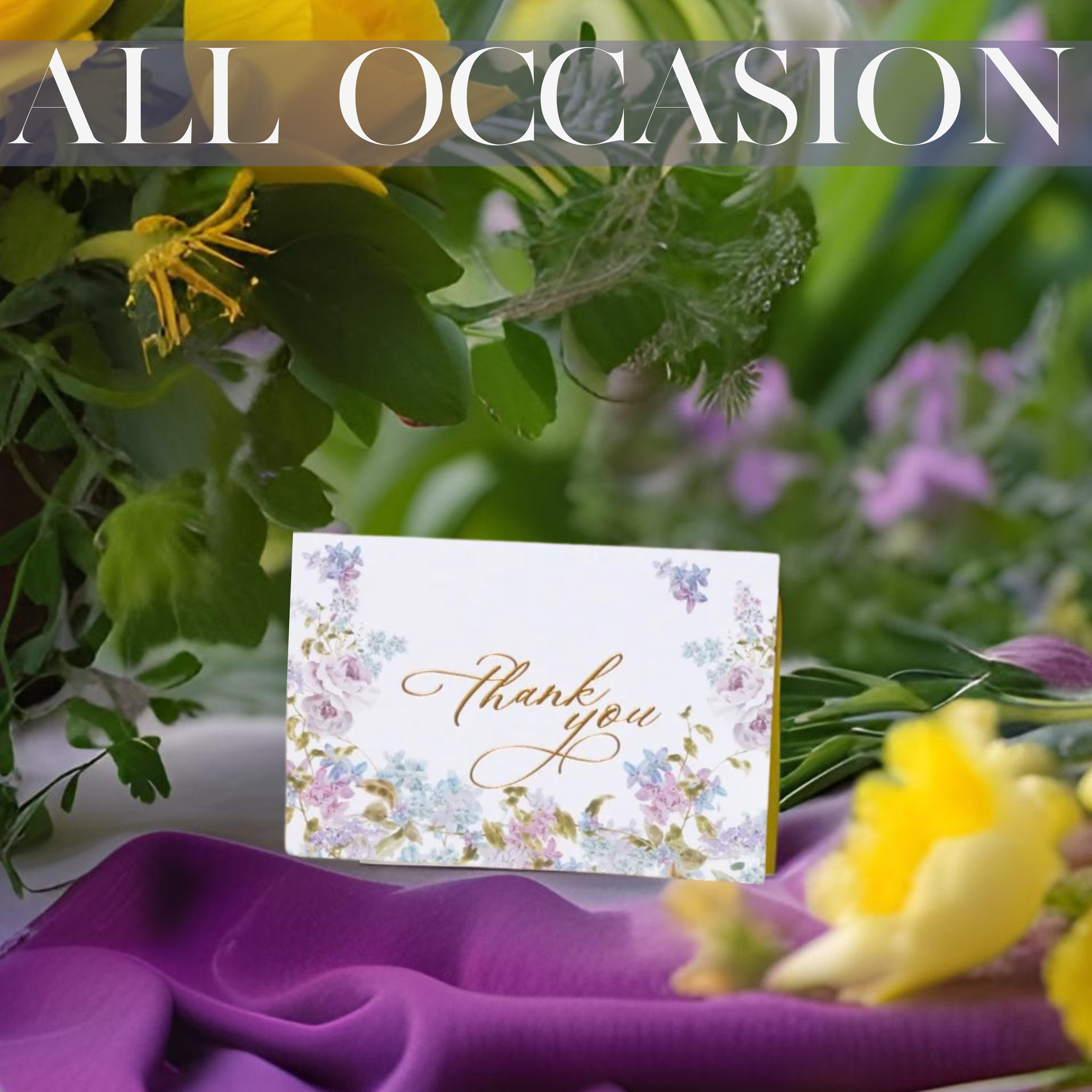 Liliac Collection Nuoerp
