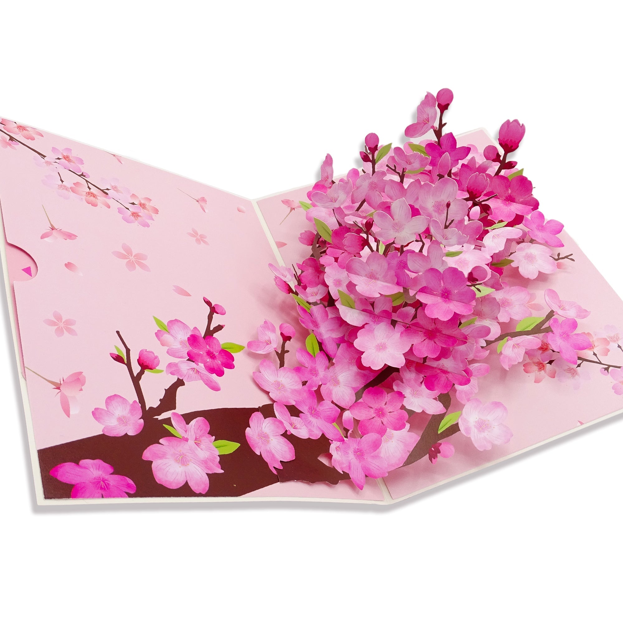 3D Sakura Cherry Blossom Pop-Up – Intricate Laser-Cut Design with Envelope – All Occasion Greeting for Birthday, Anniversary, Thank You – Elegant Spring Keepsake Gift by NUOERP Nuoerp